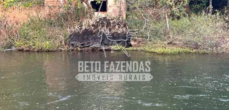 Fazenda à Venda 50 mil Hectares Produtiva em Grande Escala | Nova Mutum/ MT