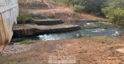 Fazenda à Venda 50 mil Hectares Produtiva em Grande Escala | Nova Mutum/ MT