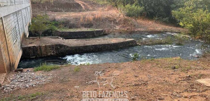 Fazenda à Venda 50 mil Hectares Produtiva em Grande Escala | Nova Mutum/ MT