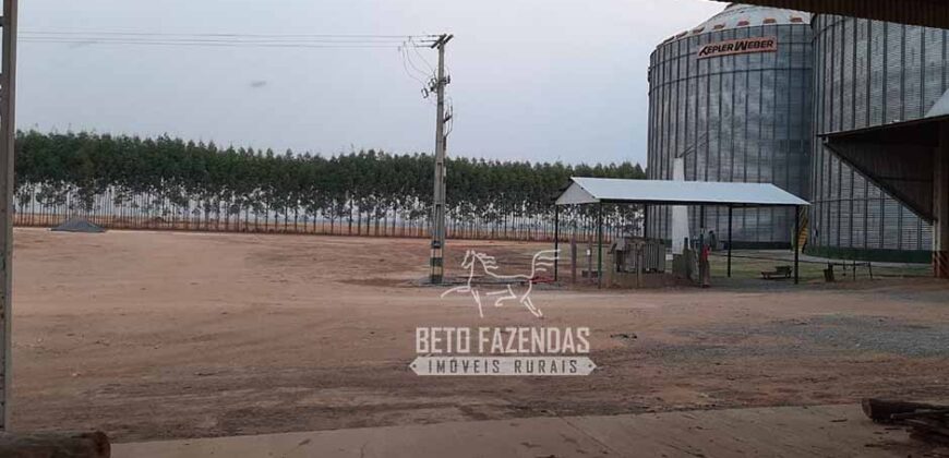 Fazenda à Venda 50 mil Hectares Produtiva em Grande Escala | Nova Mutum/ MT