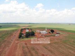 Fazenda Produtiva e Completa à Venda com 1.328 hectares | Região de Dourados/MS