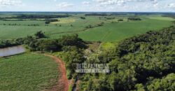 Fazenda Produtiva à Venda 9.128 ha com Alta Rentabilidade | Dourados/ MS