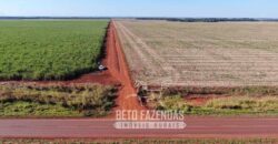 Fazenda Produtiva à Venda 9.128 ha com Alta Rentabilidade | Dourados/ MS