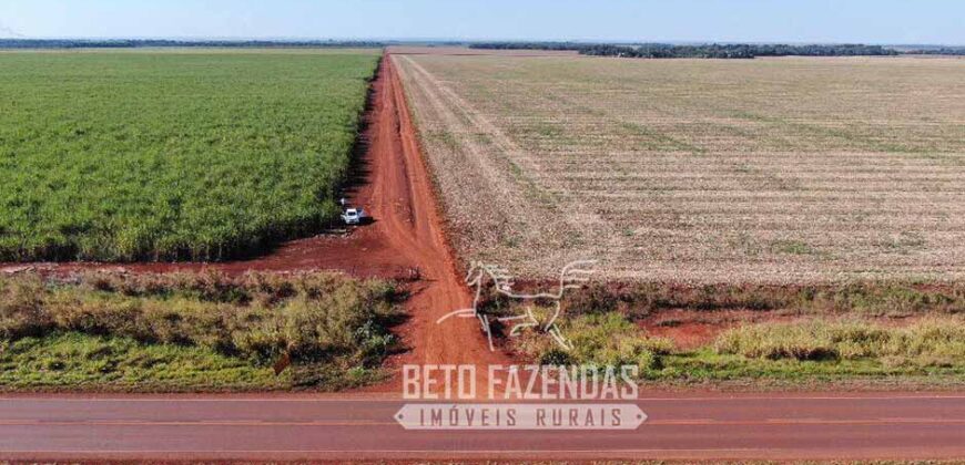 Fazenda Produtiva à Venda 9.128 ha com Alta Rentabilidade | Dourados/ MS