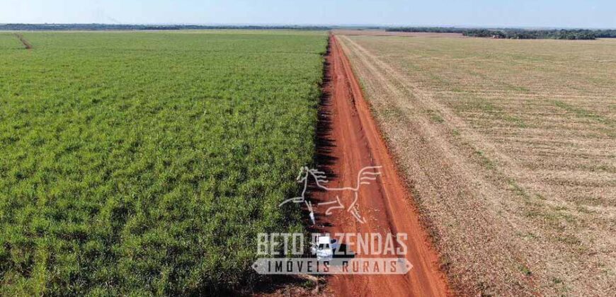 Fazenda Produtiva à Venda 9.128 ha com Alta Rentabilidade | Dourados/ MS