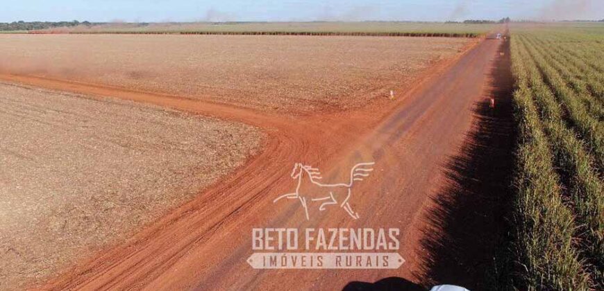 Fazenda Produtiva à Venda 9.128 ha com Alta Rentabilidade | Dourados/ MS