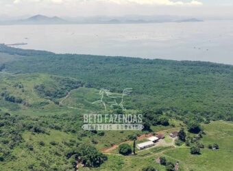 Fazenda à Venda 474 Hectares Localização Estratégica e Potencial Turístico | Magé/RJ