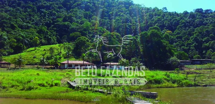 Fazenda à Venda 117,7 Hectares Paraíso Ecológico Potencial Turístico | Paracambi/RJ