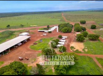 Extraordinária Fazenda à Venda 35.000 Has Investimento no Agronegócio | Confresa-MT