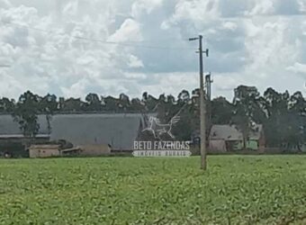 Fazenda à Venda 15.000 Hectares Alta Produtividade e Excelente Logística | Itiquira/ MT