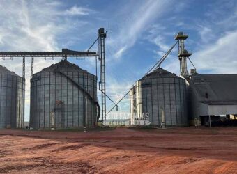 Arrendamento 7.000 hectares Estrutura Completa Plantio de Soja | Querência/MT