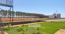 Fazenda de Grande Porte 8.000 hectares Infraestrutura Completa | Paracatu/MG