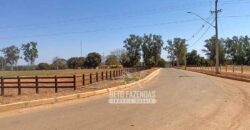 Fazenda de Grande Porte 8.000 hectares Infraestrutura Completa | Paracatu/MG