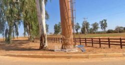 Fazenda de Grande Porte 8.000 hectares Infraestrutura Completa | Paracatu/MG