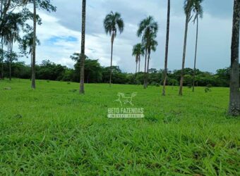 Fazenda Dupla Aptidão 396 hectares Pecuária e Agricultura | Água Fria/GO