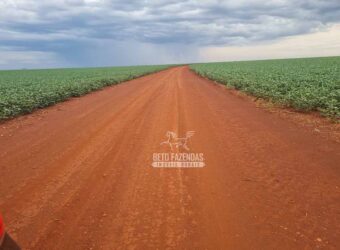 Fazenda de Soja à Venda 335 alqueires Solo de Alta Qualidade | Dourados/ MS