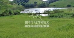 Fazenda à Venda 117,7 Hectares Paraíso Ecológico Potencial Turístico | Paracambi/RJ