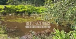 Fazenda à Venda 117,7 Hectares Paraíso Ecológico Potencial Turístico | Paracambi/RJ