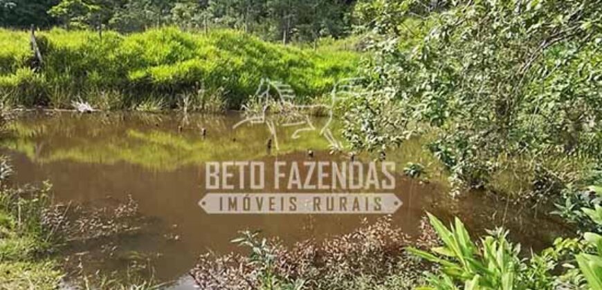 Fazenda à Venda 117,7 Hectares Paraíso Ecológico Potencial Turístico | Paracambi/RJ