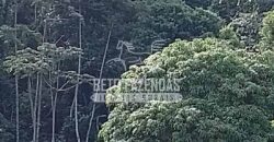 Fazenda à Venda 117,7 Hectares Paraíso Ecológico Potencial Turístico | Paracambi/RJ