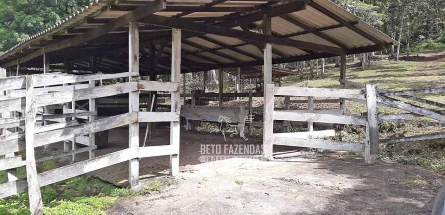 Fazenda à Venda 117,7 Hectares Paraíso Ecológico Potencial Turístico | Paracambi/RJ