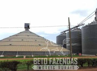 Fazenda à Venda 24.550 Has Alta Produtividade Infraestrutura Completa | Tangará da Serra/MT